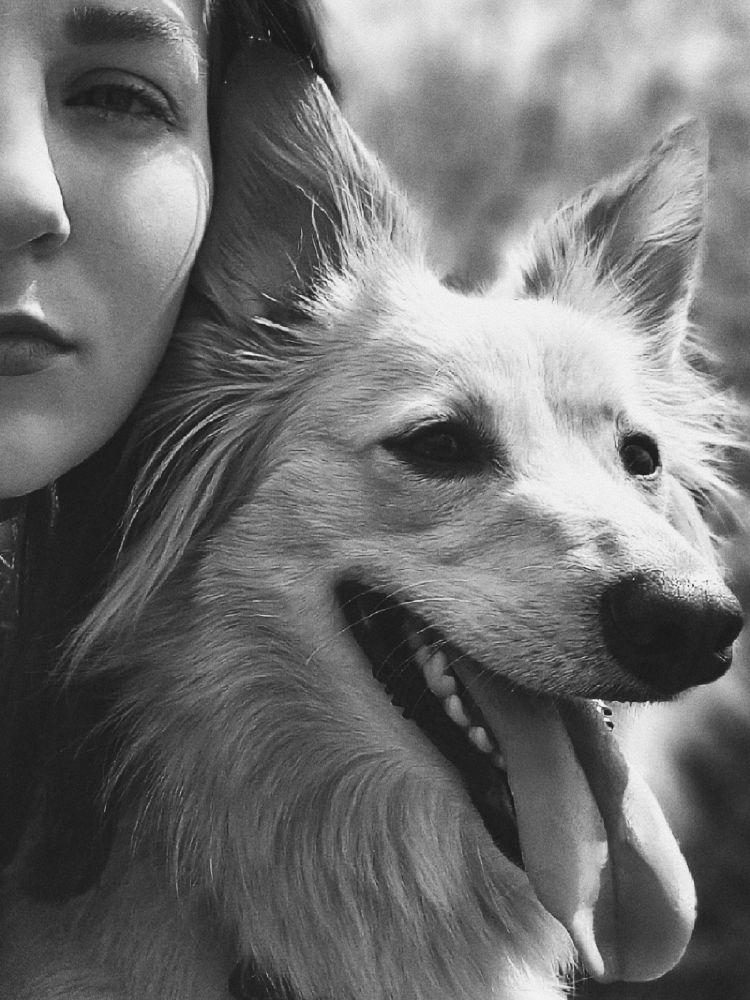 Лучший друг