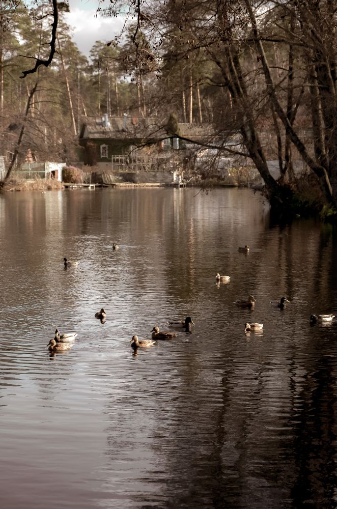 Photograph by Ольга Моисеева