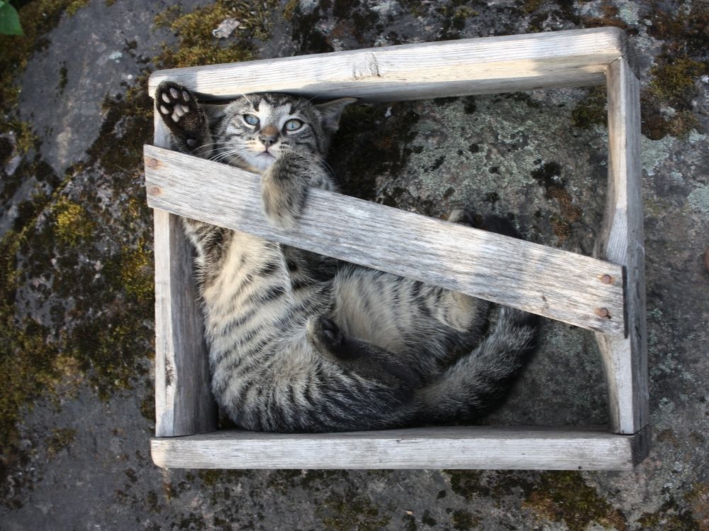 Хай. Тоись привет.  Пока не надоест, посижу так.
