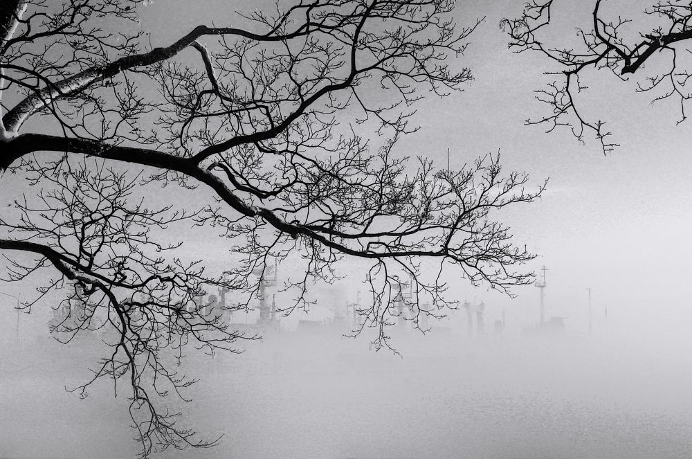 Photograph by Сергей Григорьев