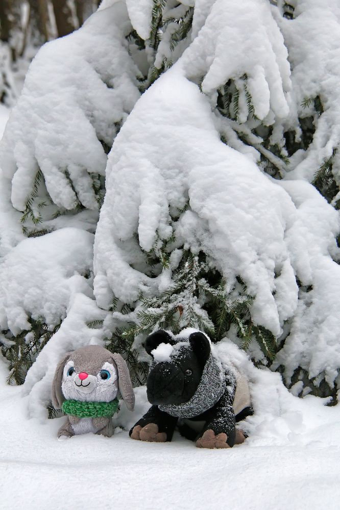 Фотография автора Елена Лаврова