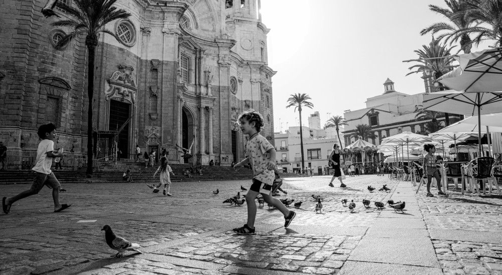 Photograph by Murcia J. A.