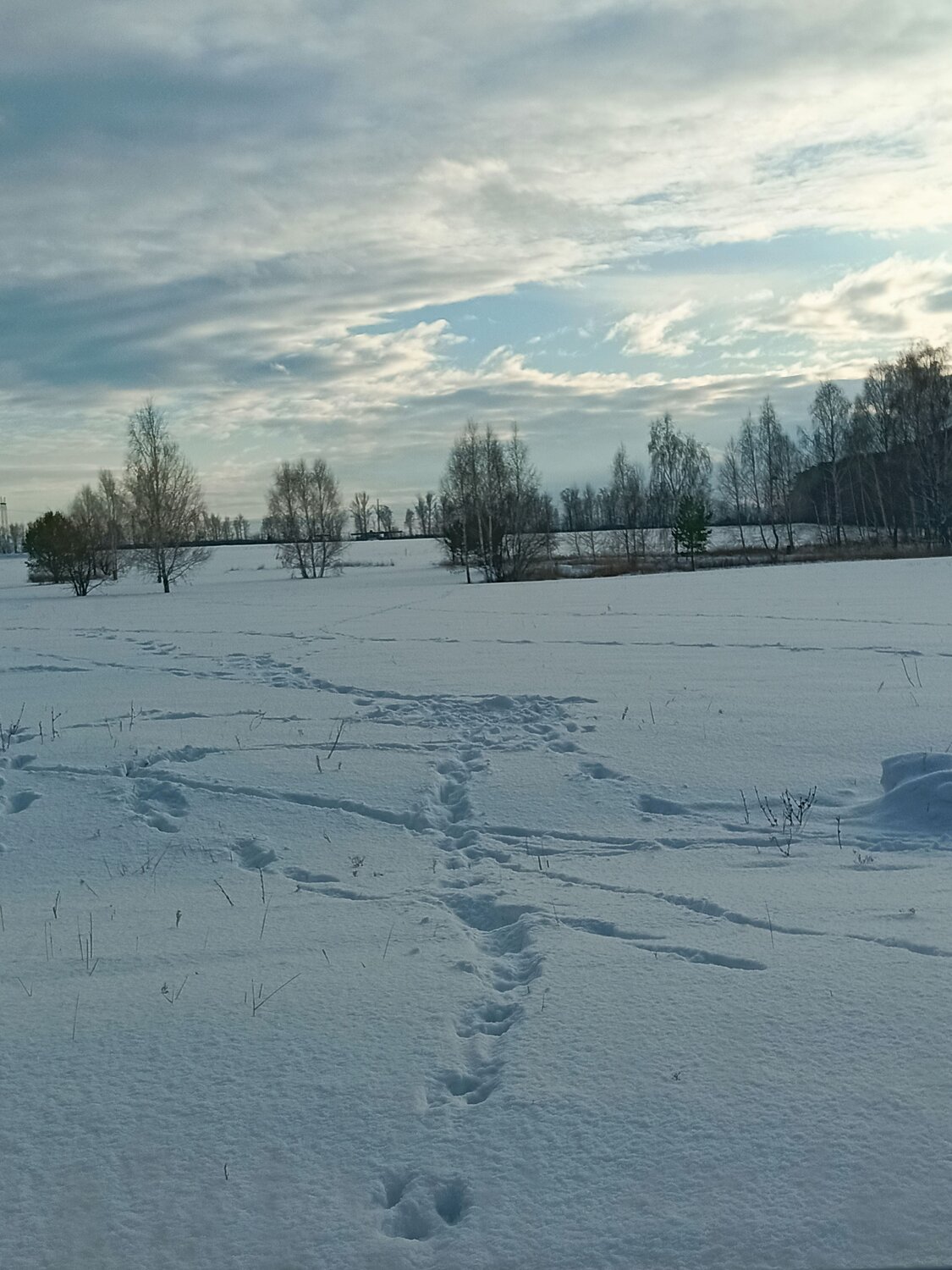 Photo #10169911