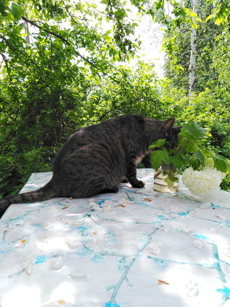 Photograph by Виктор Полуэктов