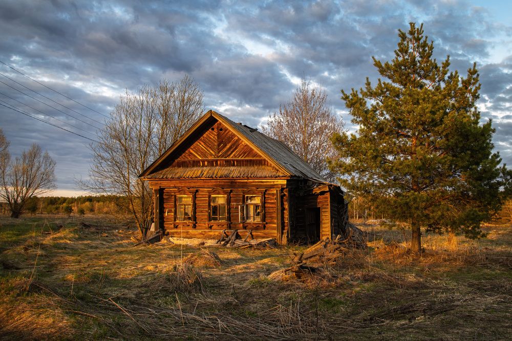 Photograph by Владимир Карпов