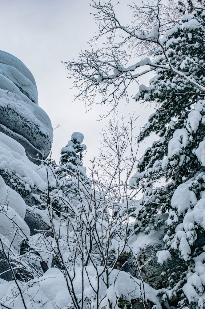Фотография автора Дмитрий Ширнин