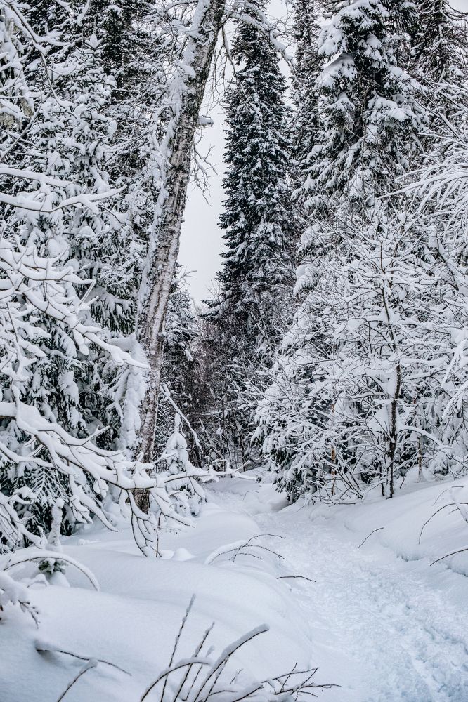 Фотография автора Дмитрий Ширнин