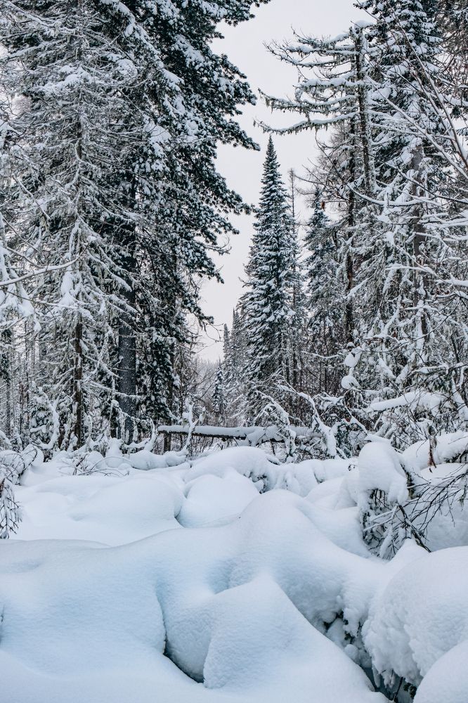 Фотография автора Дмитрий Ширнин