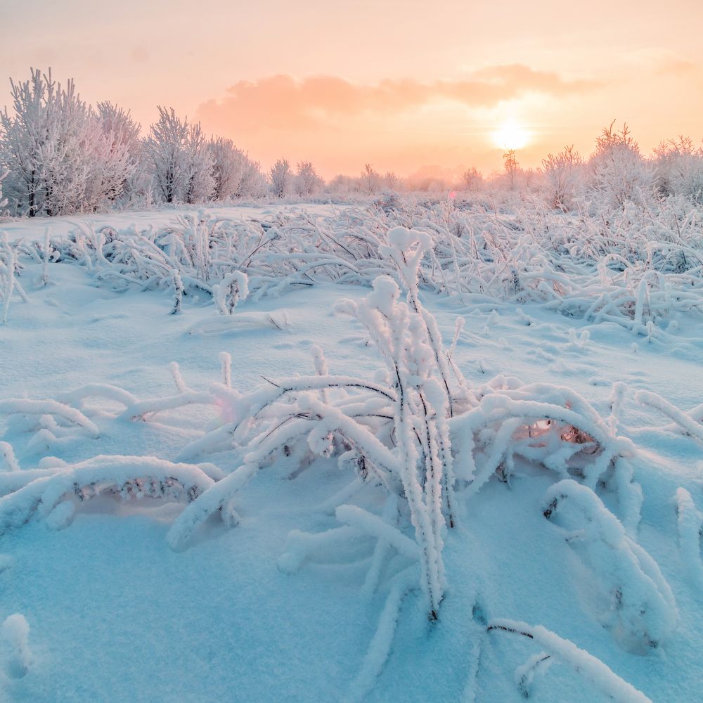 Фотография автора Панагушин Сергей