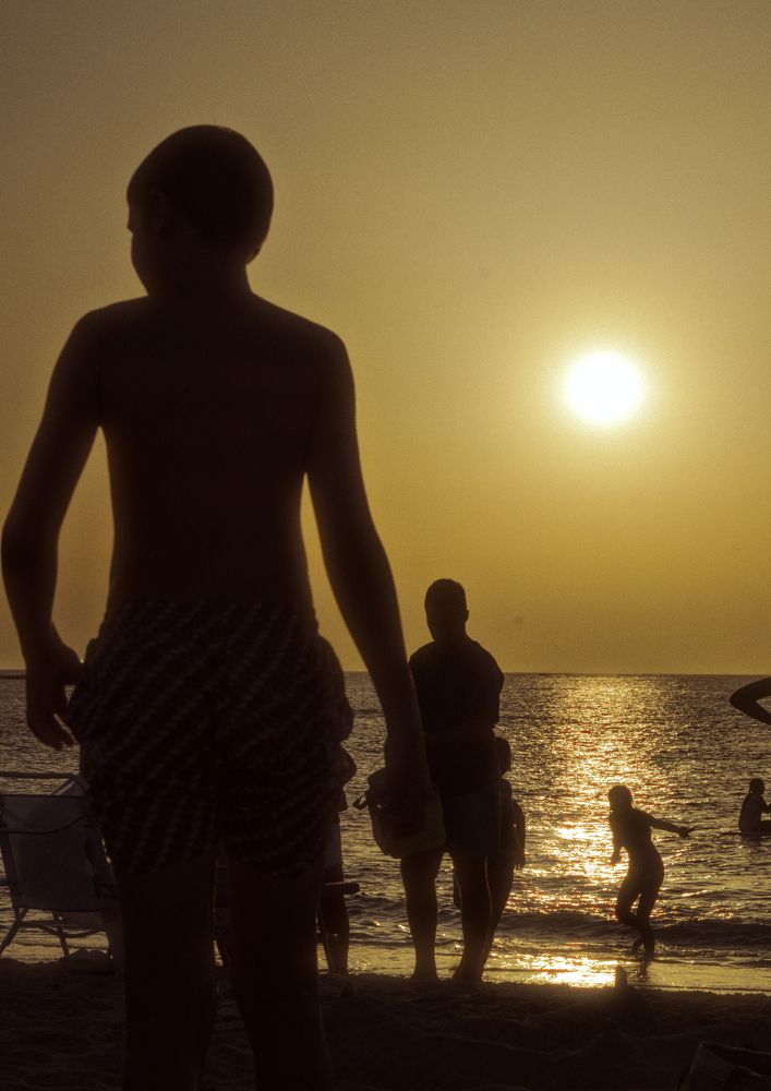 Photograph by Murcia J. A.