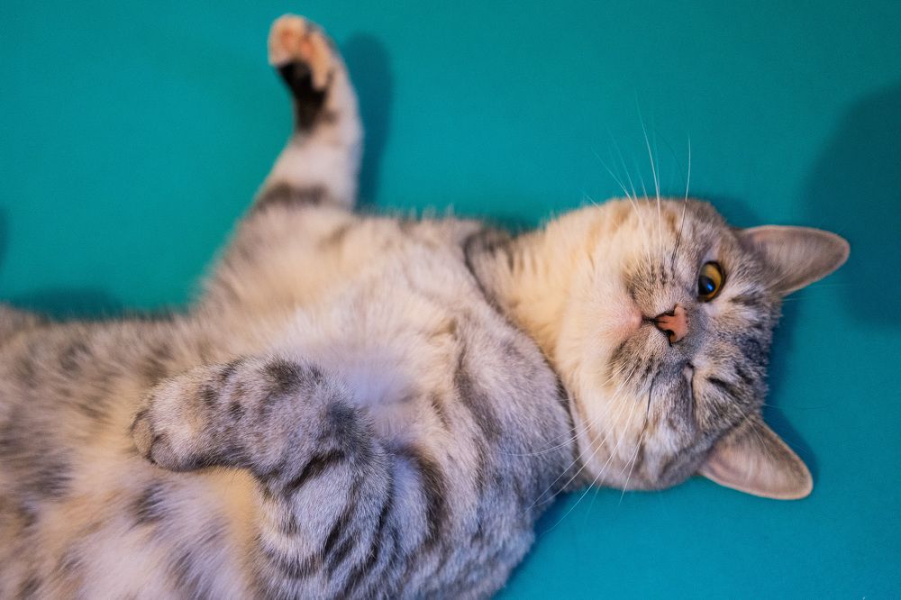 Photograph by Анастасия Петрова