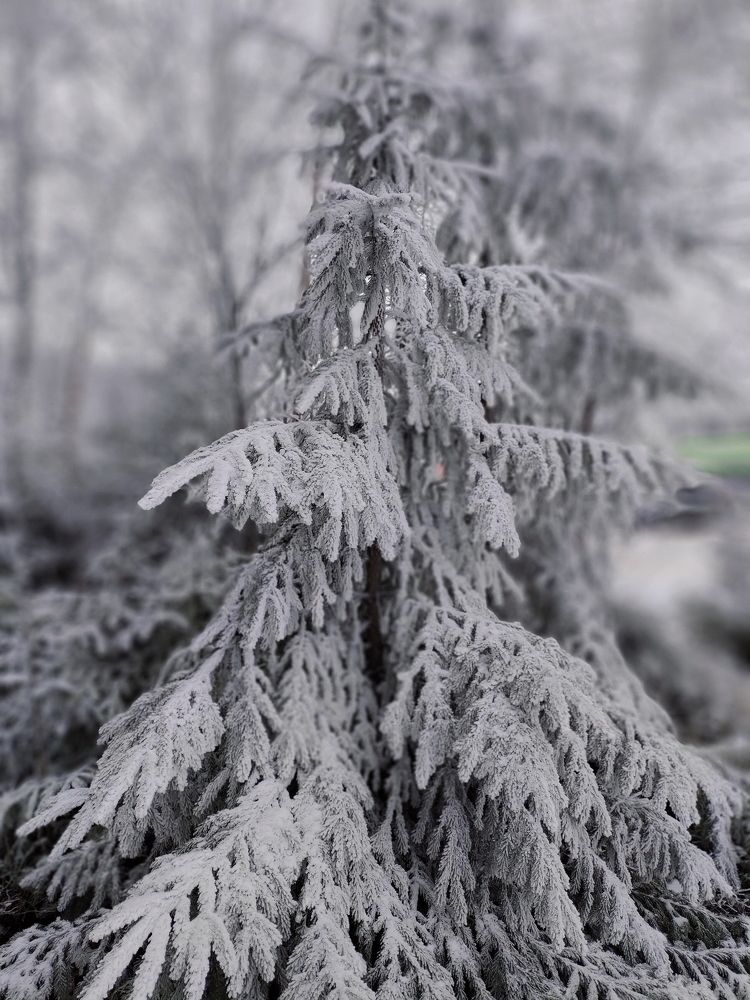 Photograph by Игорь Семеновский