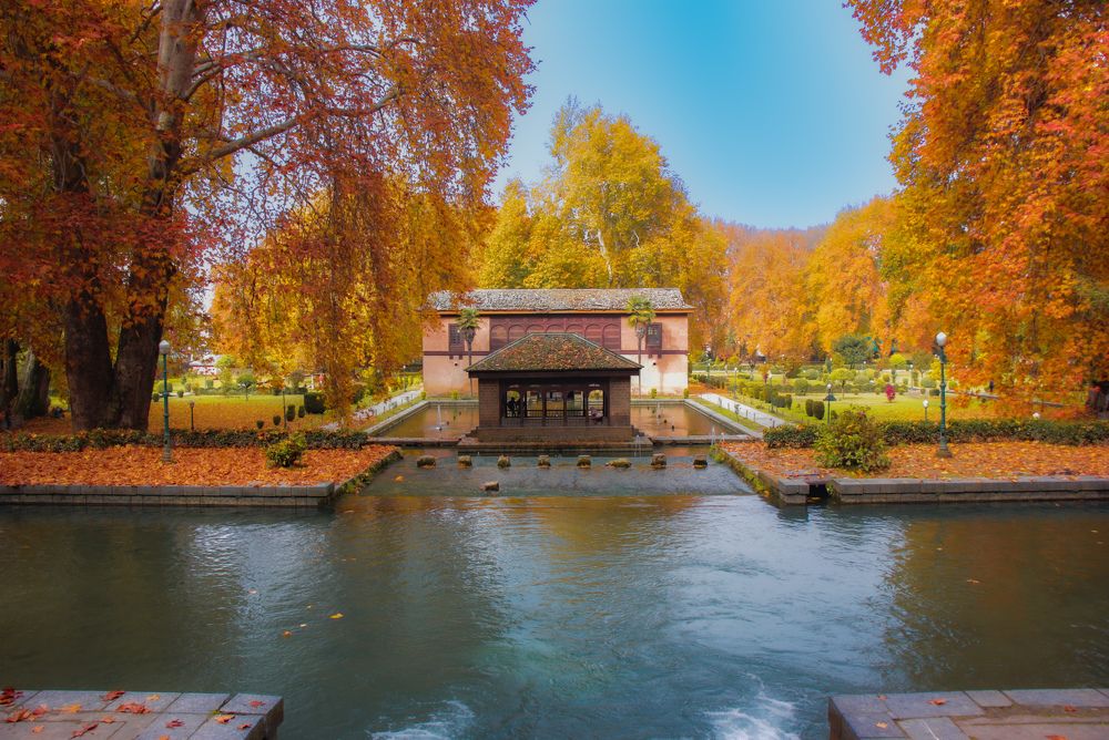 Photograph by Muneeb Najar