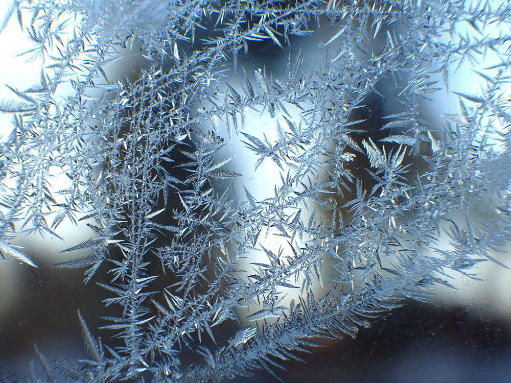 Photograph by Alexander Chernikov