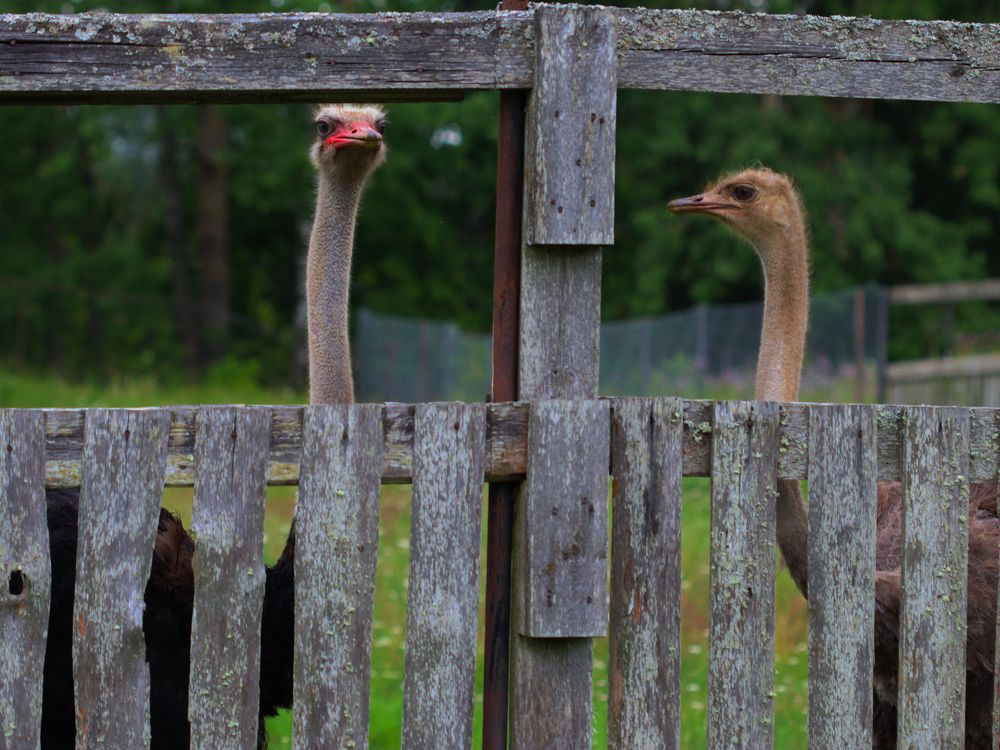 Photograph by Светлана Попкова