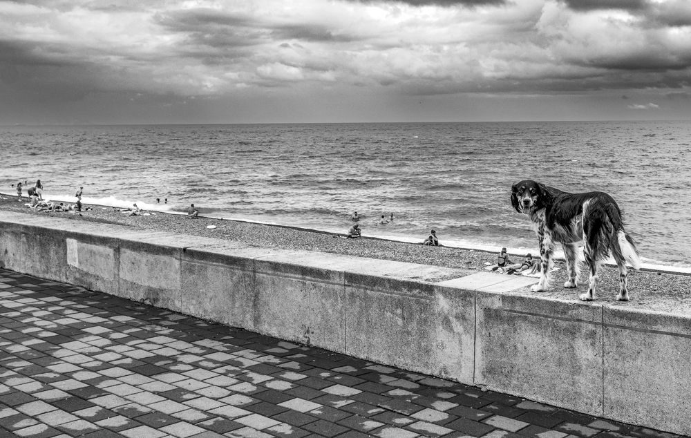 Photograph by Alex Kalpus