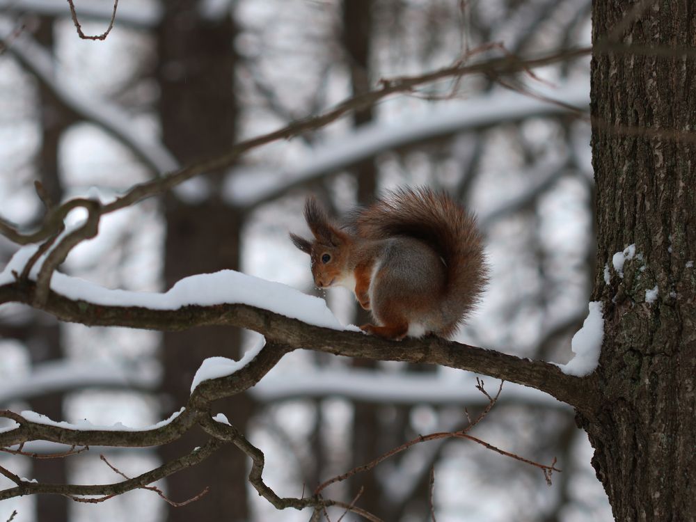 Photograph by Светлана Попкова