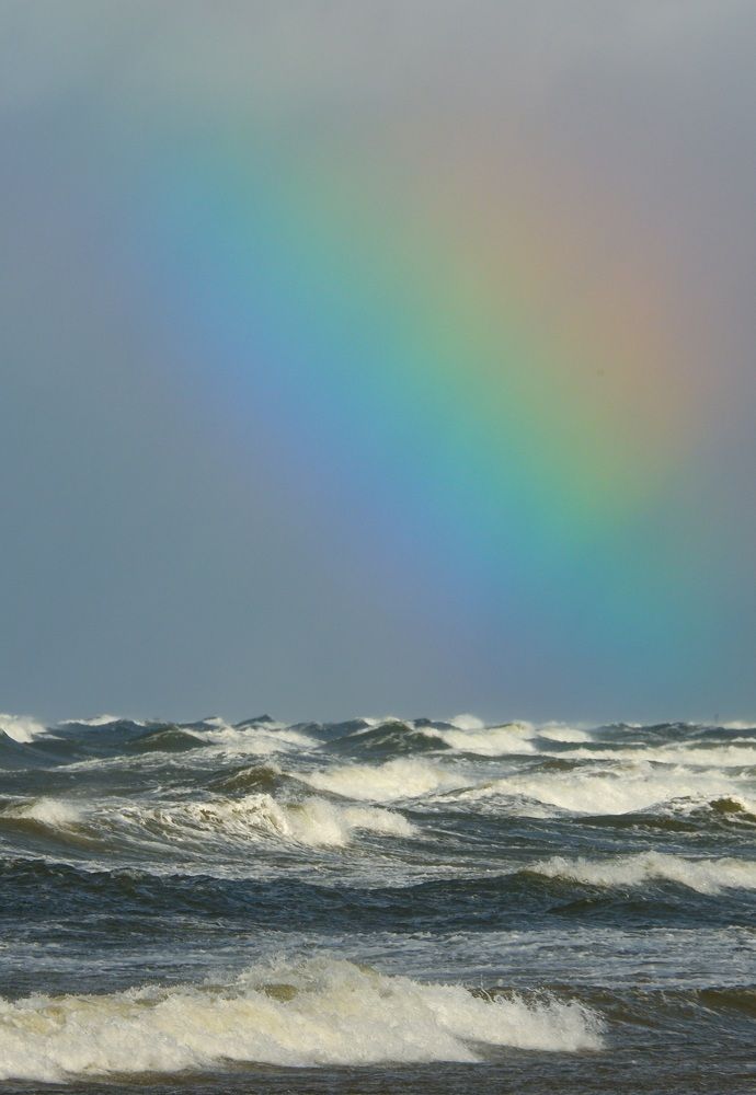 Фотография автора Elvijs Kalniņš