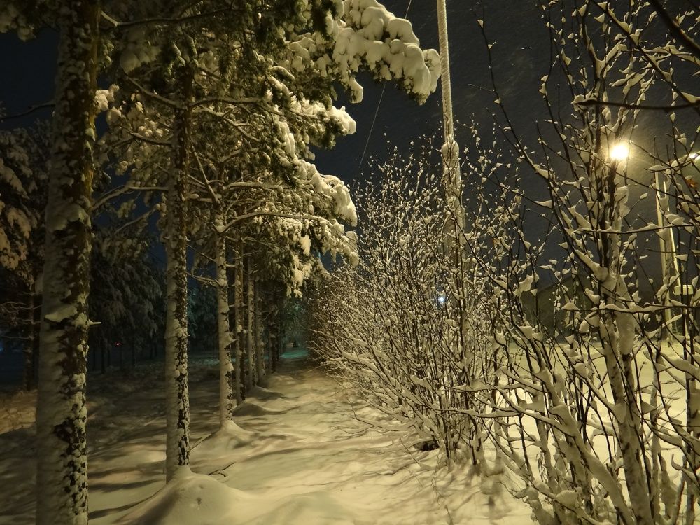 Photograph by Анна