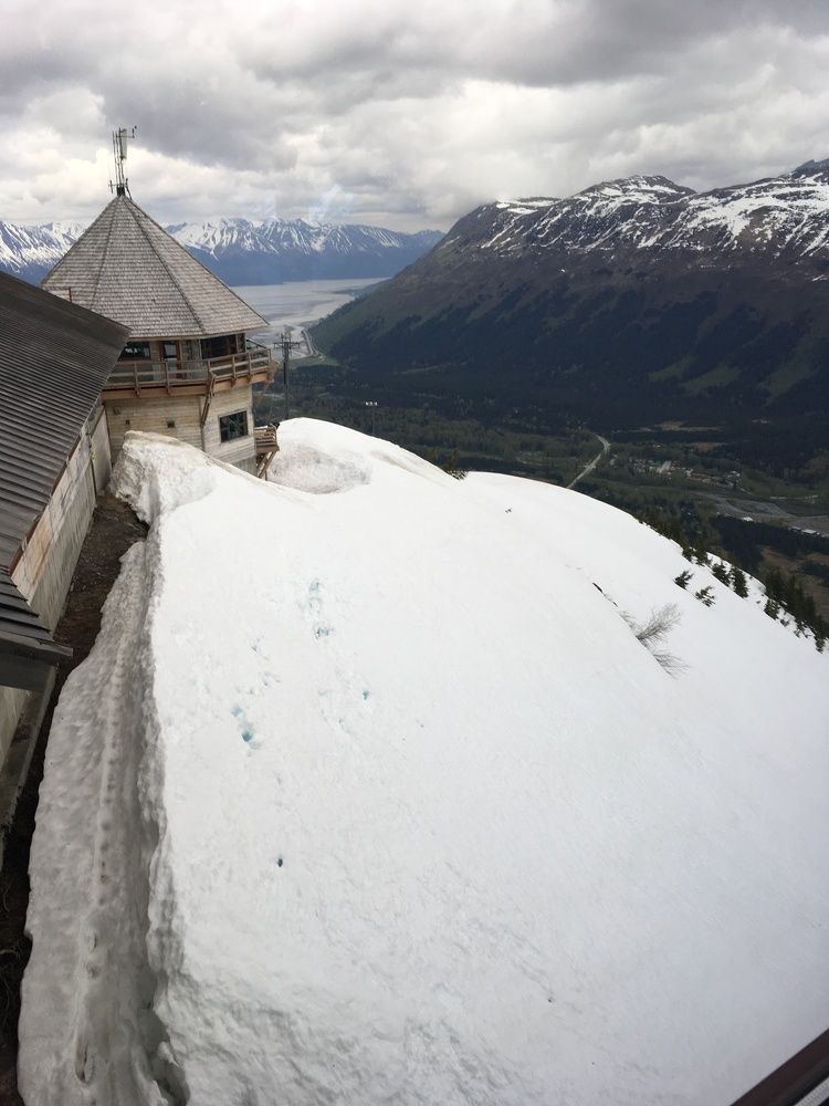 Фотография автора luisa santos