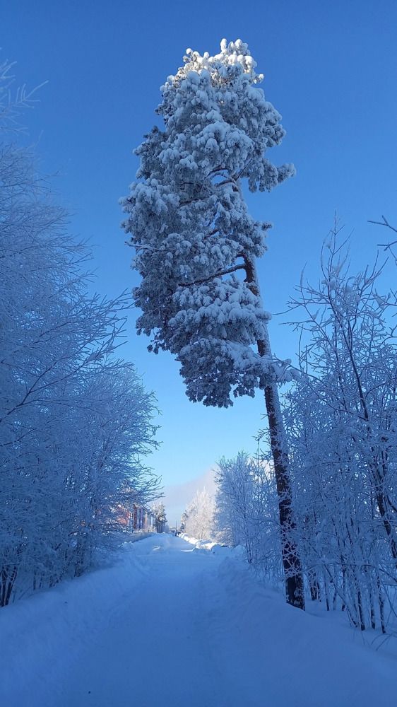 Фотография автора Евгения Зайцева