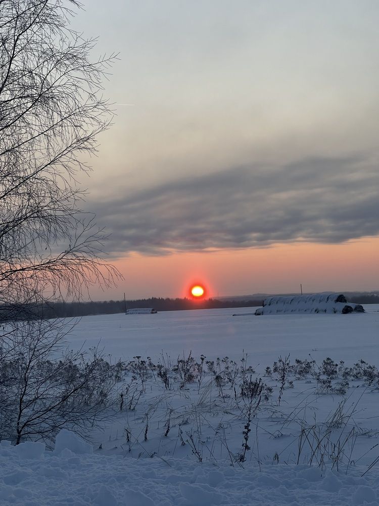 Photograph by Ирина Артюх