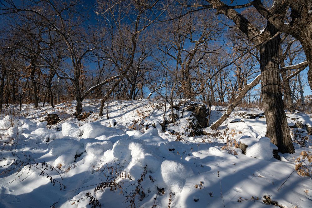 Photograph by Игорь Иванов