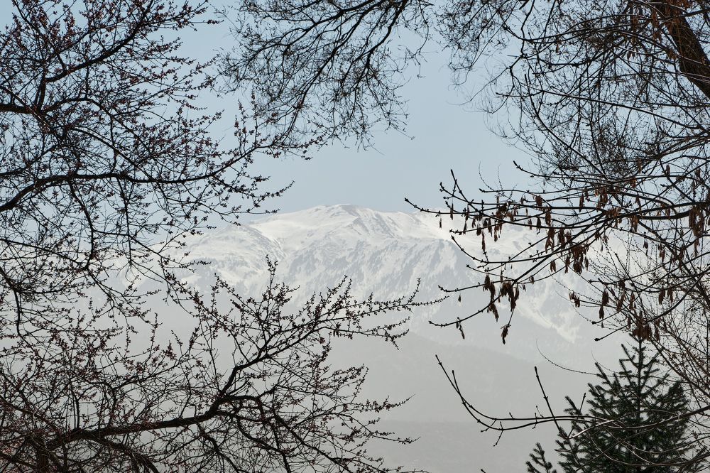 Photograph by Андрей Мертвищев