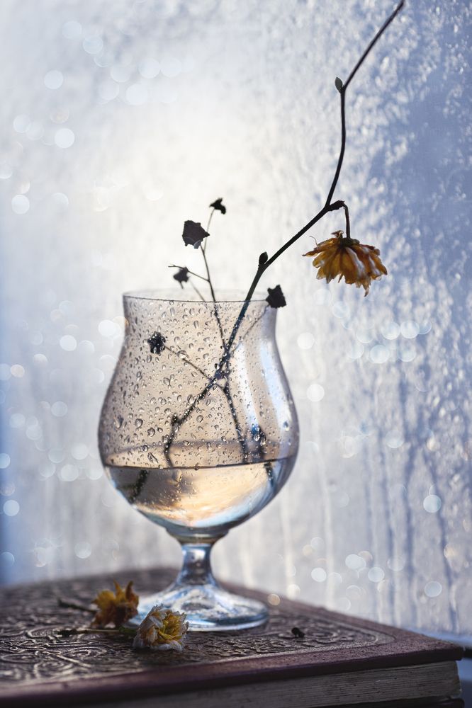 Photograph by Анна Фурса