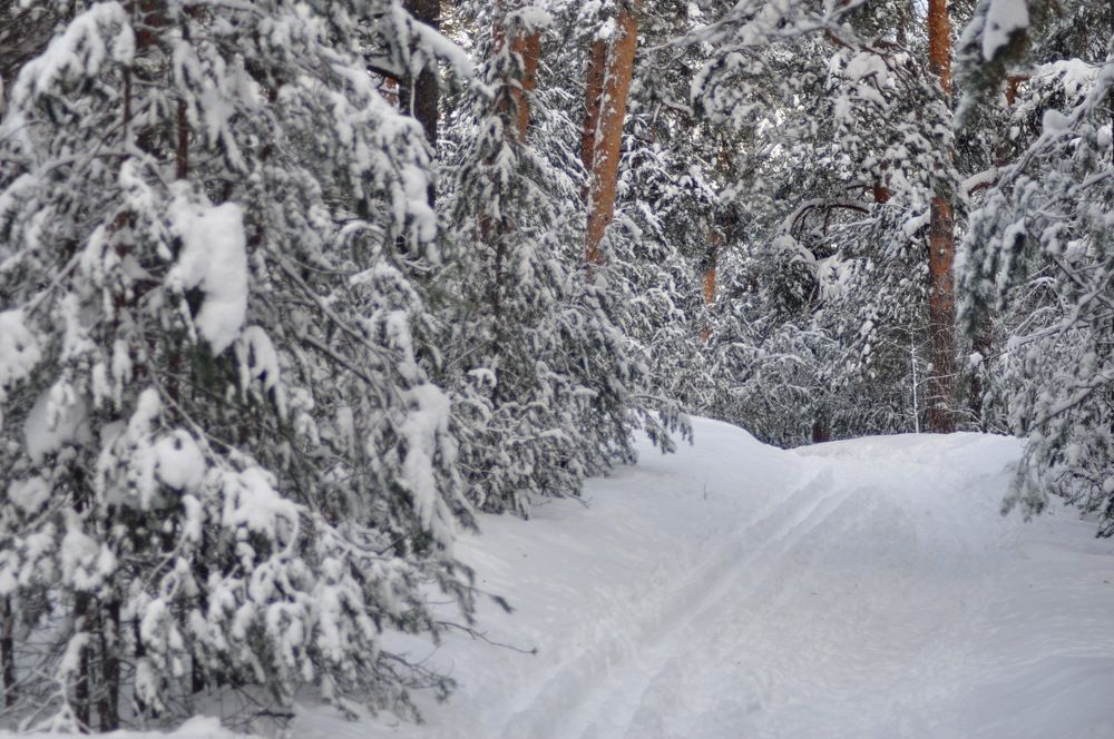 Photograph by Николай Леухин