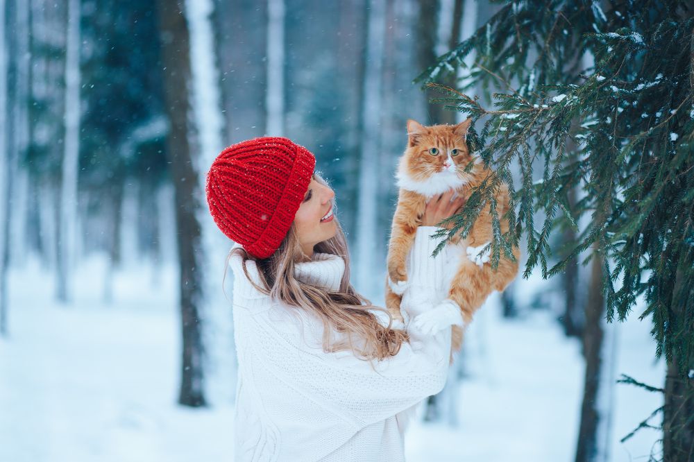 Photograph by Катерина Повидайко