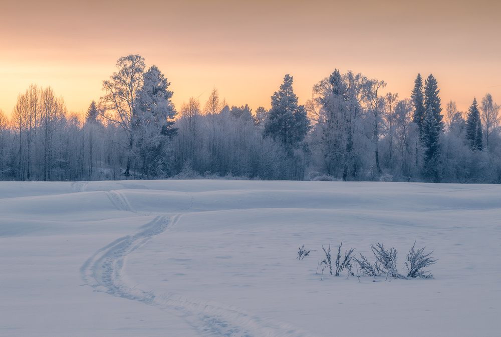 Photograph by Mysov Ivan