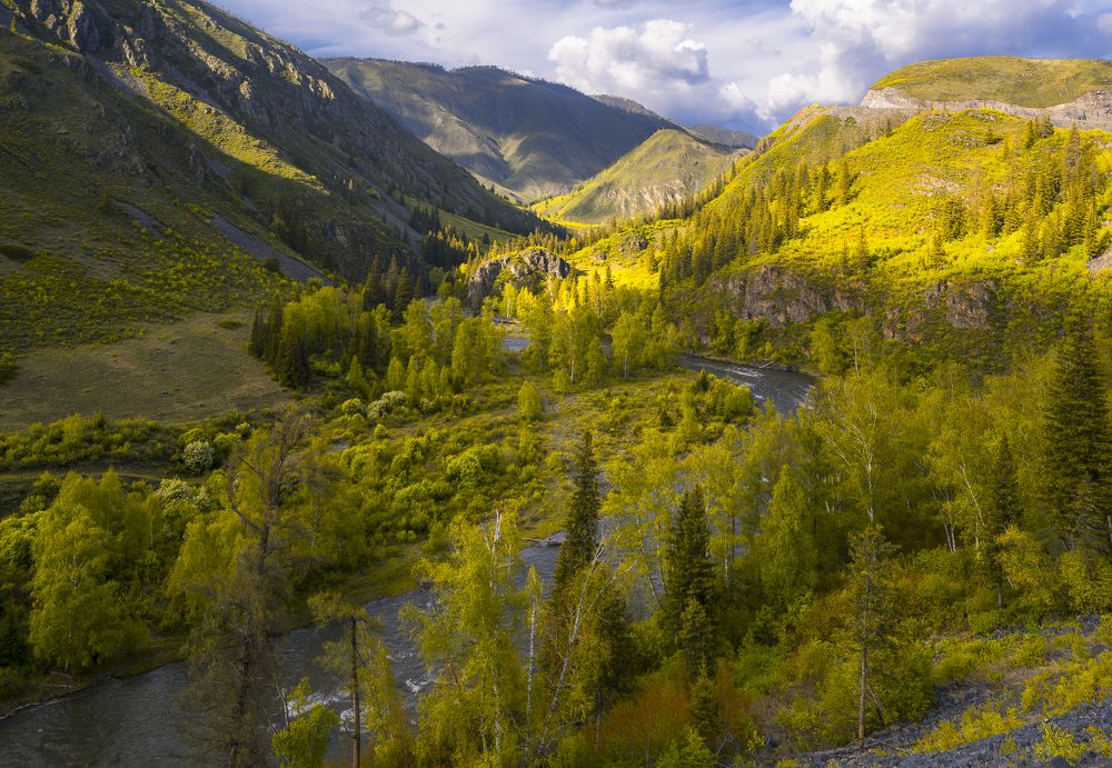 В насыщенно зеленых красках