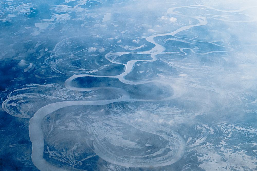 Photograph by Diana Shi