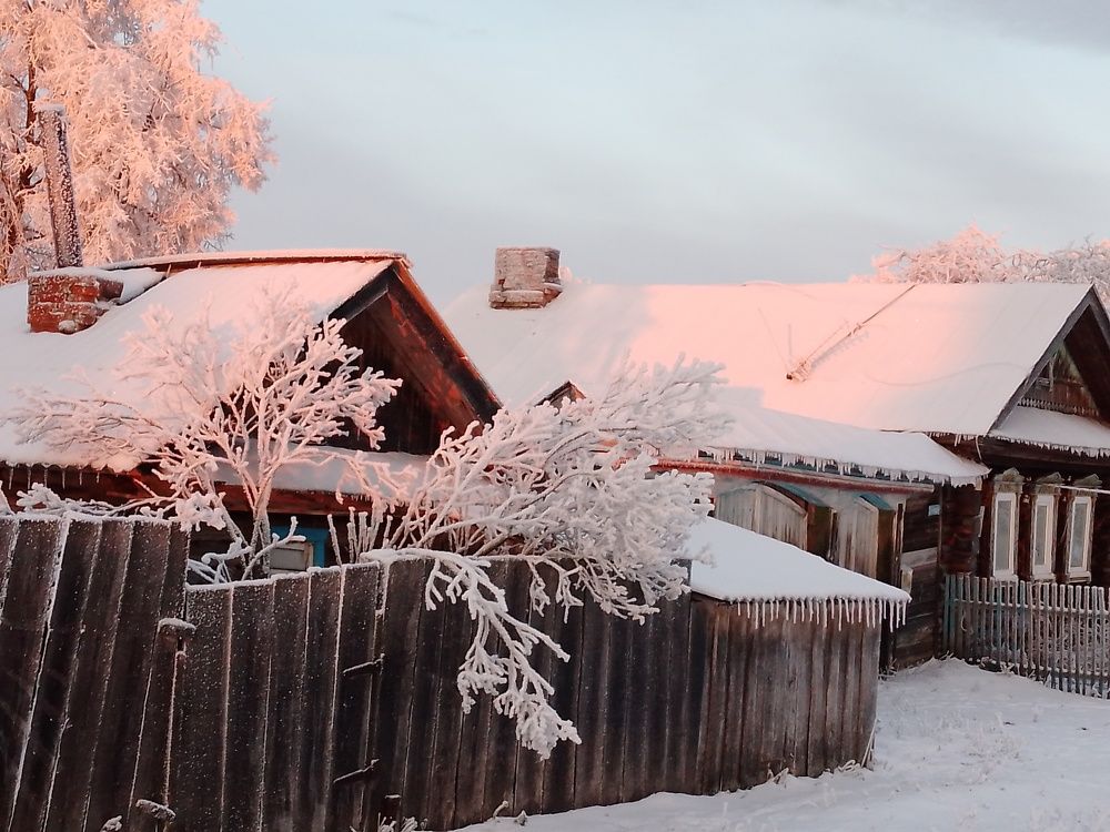 Photo #10170566