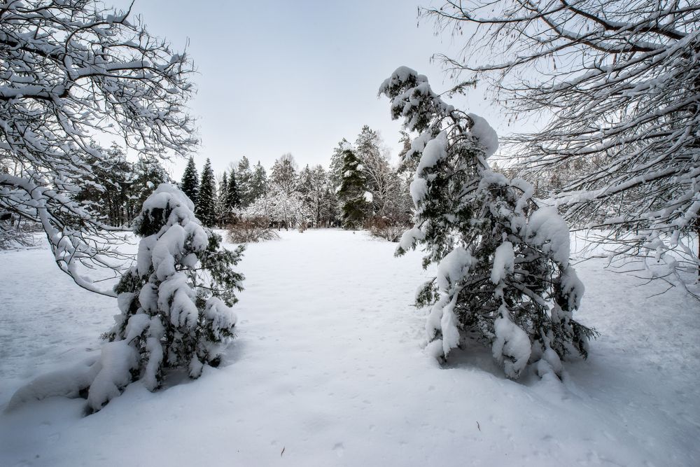 Photograph by Орнатский Александр