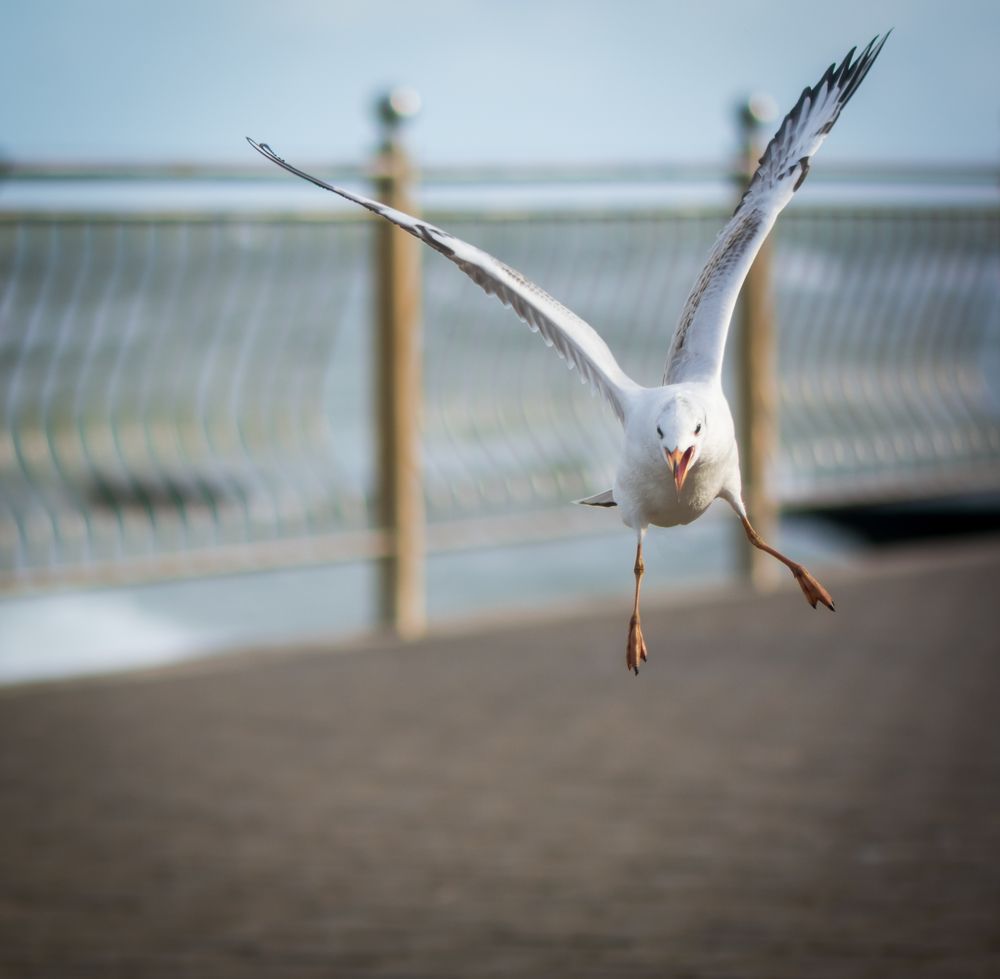 Photograph by Agita Leimane