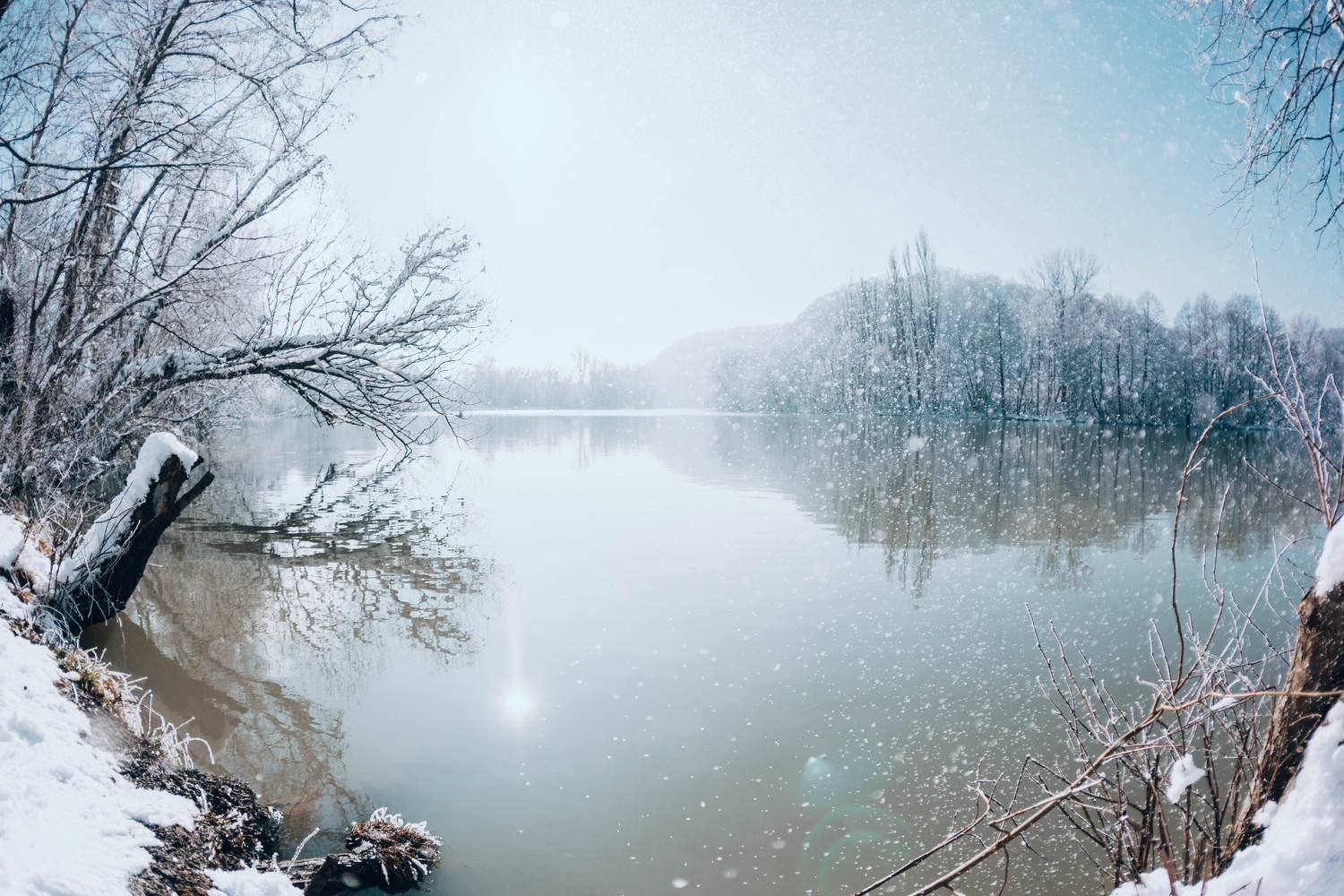 Photo #10170574