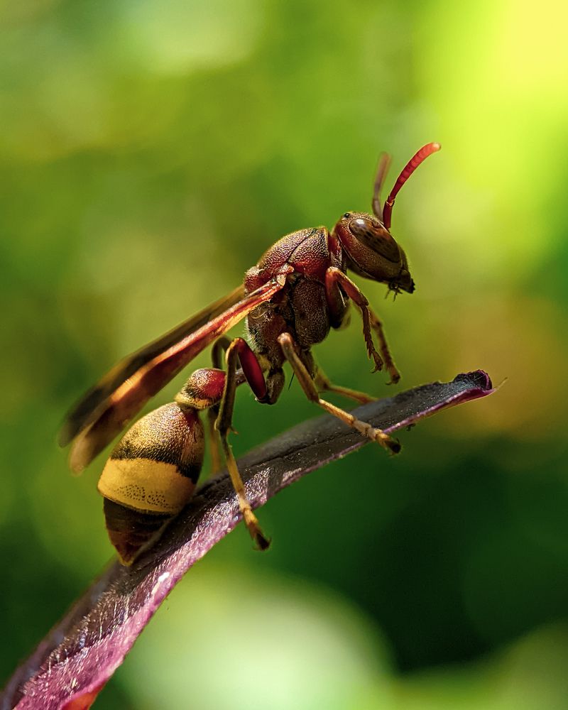 Photograph by Ncm Tech