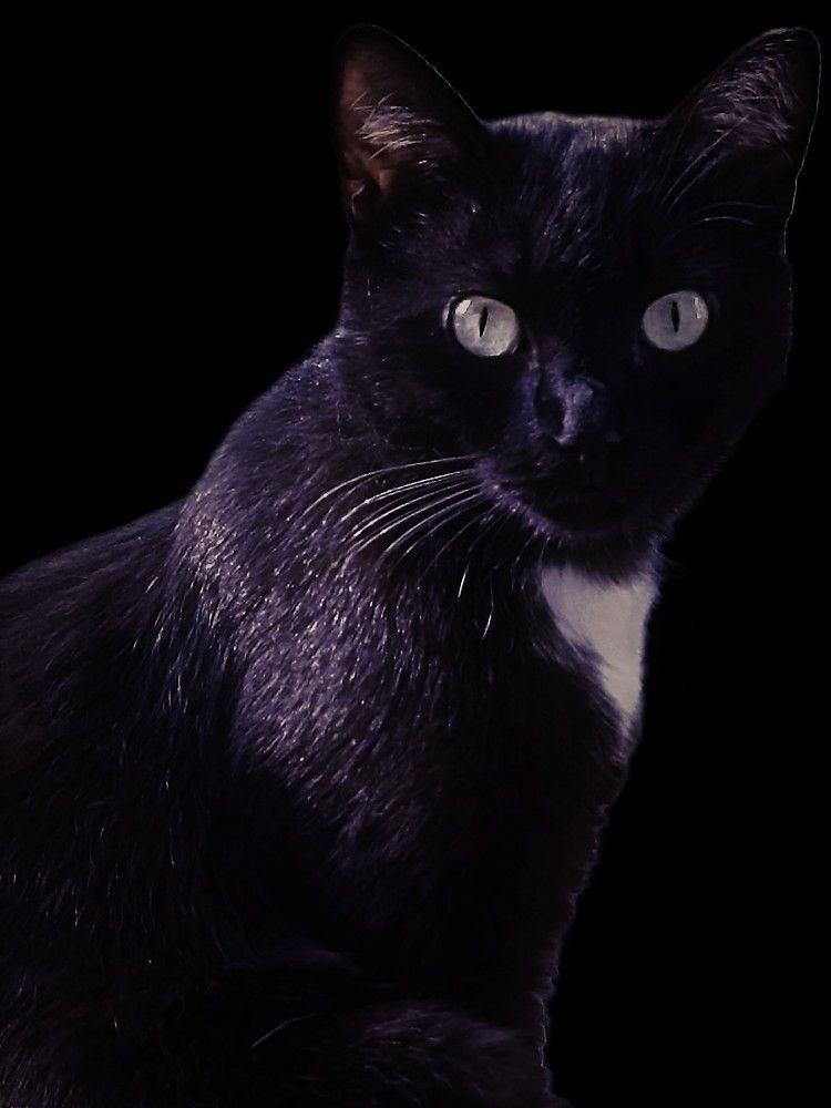 Photograph by Алия Байсыкова