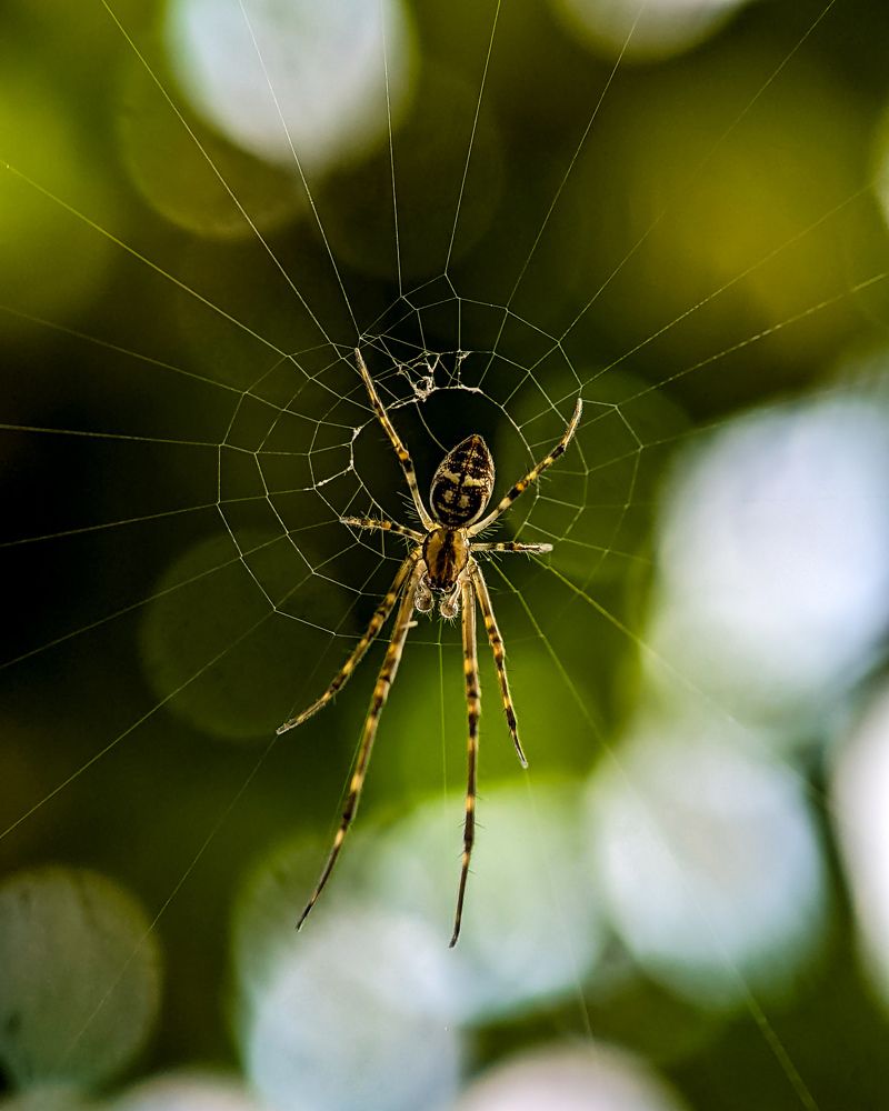 Photograph by Ncm Tech