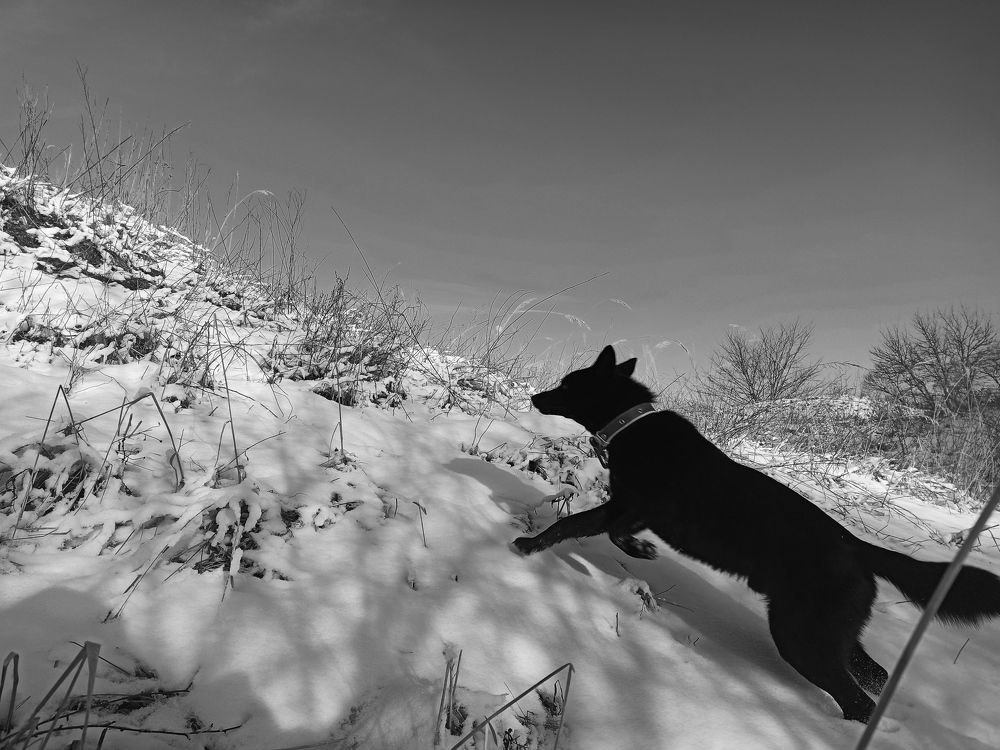 Фотография автора Иван