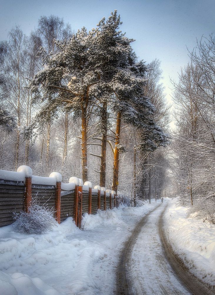 Photograph by Marina Krivitskaya