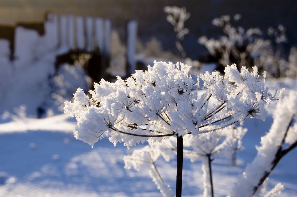 Фотография автора Олег Анатольевич Загорулько