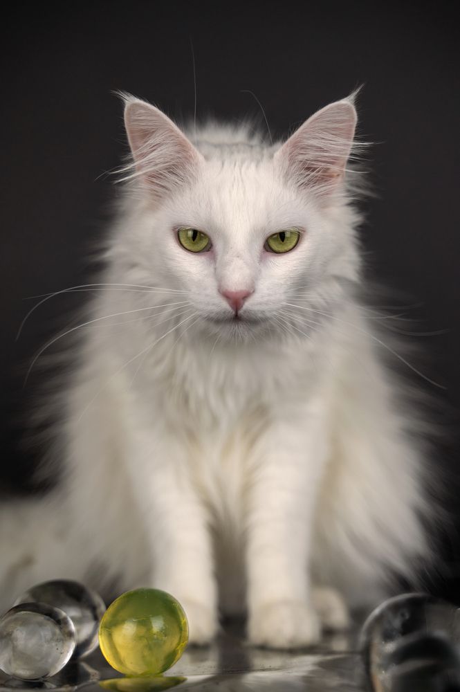 Photograph by Любовь Галушкина