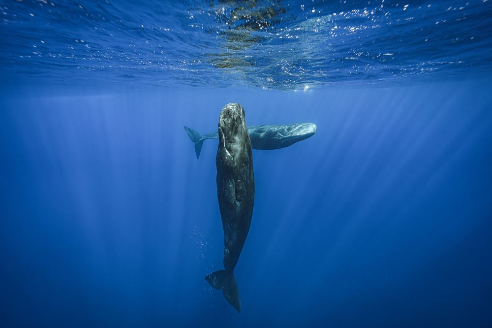 Photograph by Труханов Илья