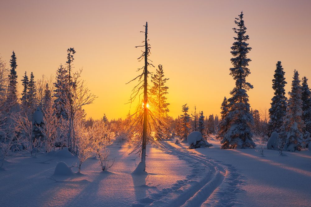 Светит но не греет. -35 по цельсию.