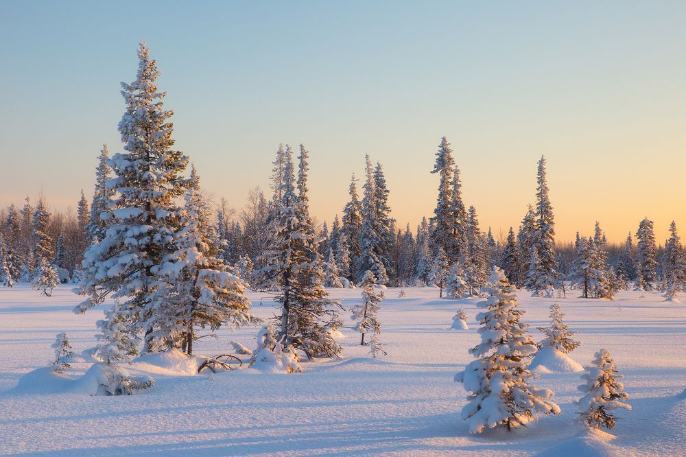 Морозный закат. -35