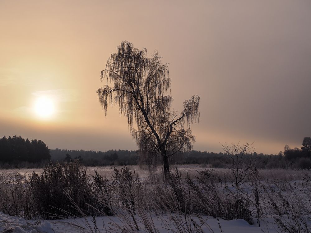 Photograph by Сергей Гаврилов
