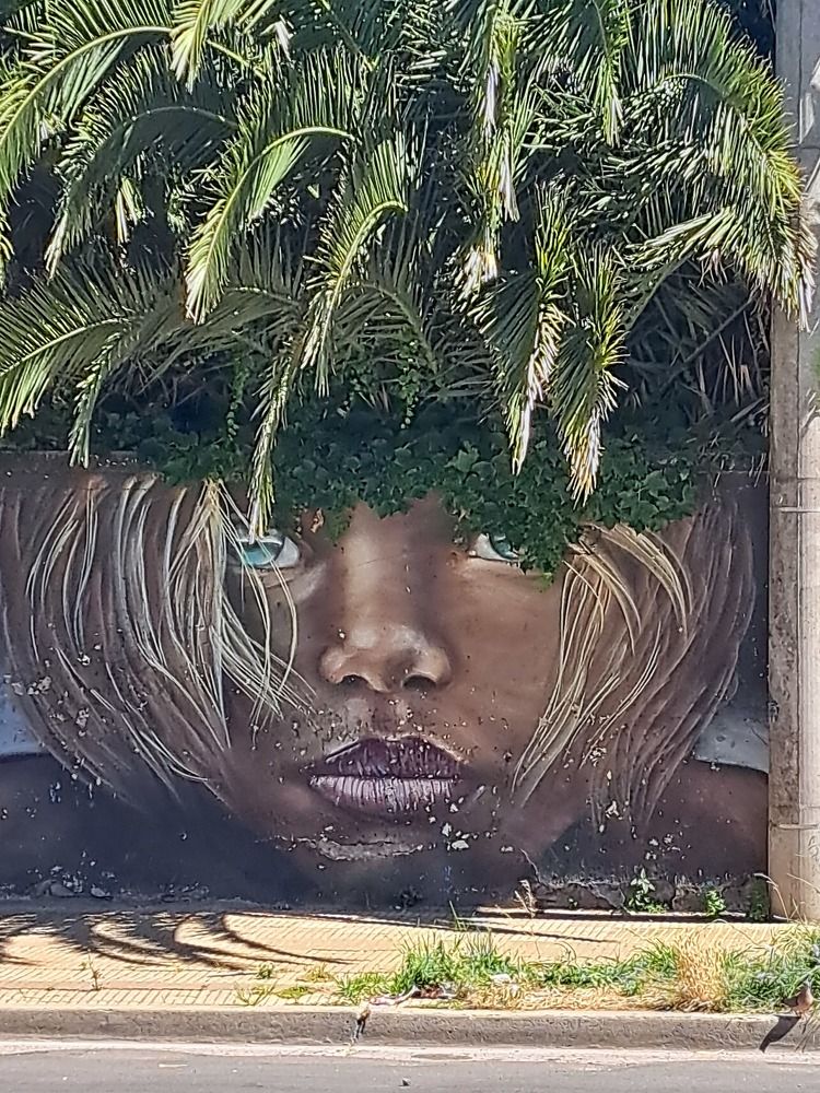 Фотография автора gustavo pecelis